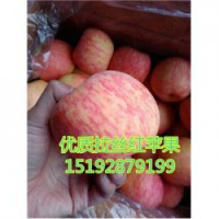 今 日 山东苹果产地膜袋红富士苹果农户价格