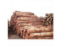 鹿寨收购松木企业一览表
