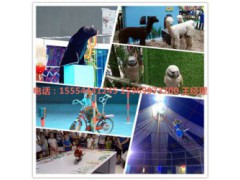 海狮表演活动九江市房地产动物租赁公司