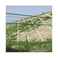 兰州可靠的护栏网提供商-白银护栏网厂家
