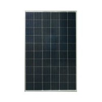 台州太阳能板口碑怎么样,萨巨利维,太阳能电