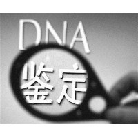 哈尔滨纳泓无创产前亲子DNA鉴定