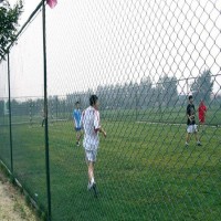 阳泉市篮球场围网 操场防护网 体育场围栏质量至上